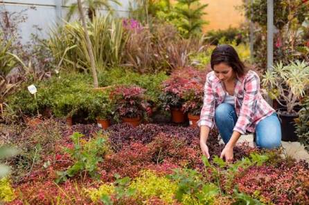 Here Are Some Garden Design Trends For 2023