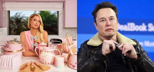 Elon Musk mocks Paris Hilton cookware ads after her company